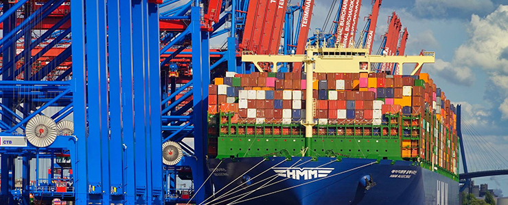 International Marine Container Agent